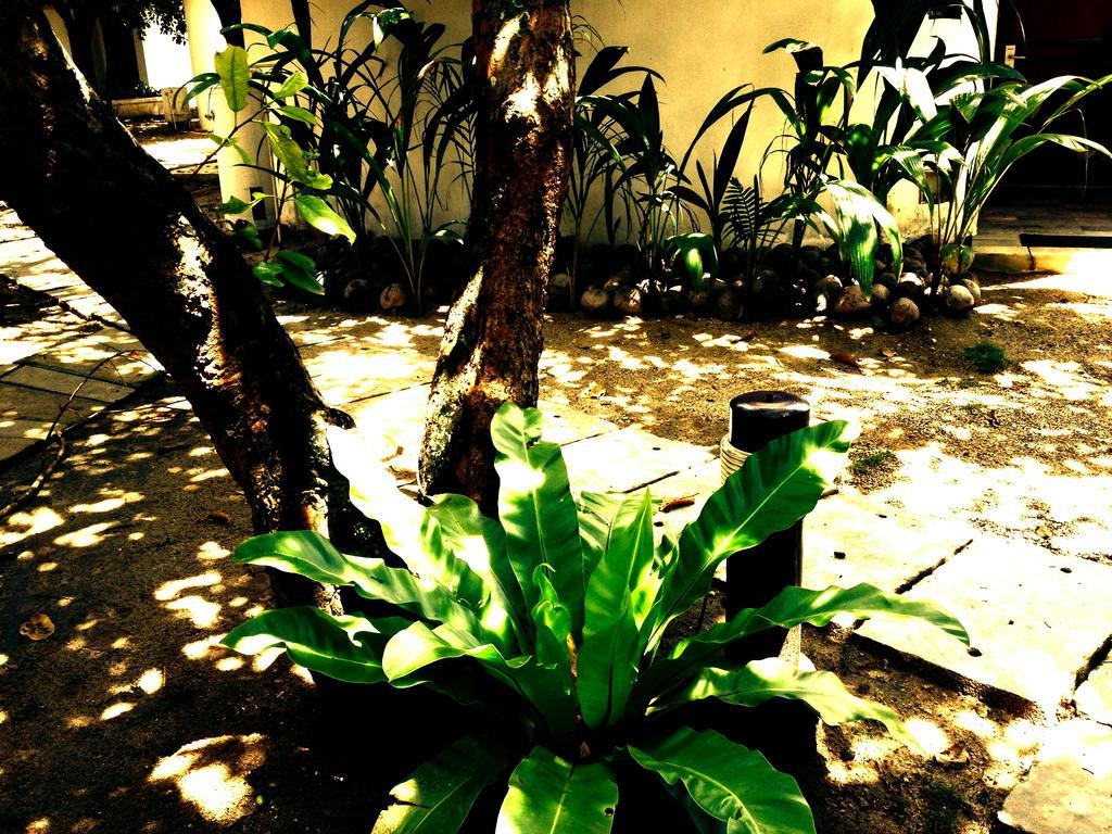 Cordova Reef Village Resort Lapu-Lapu City Exterior foto
